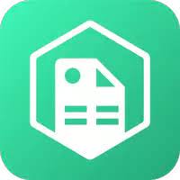 Payslip APK icon